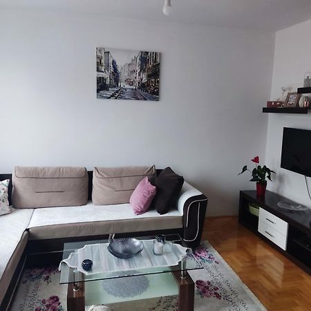 Apartman Dunja Plužine Buitenkant foto
