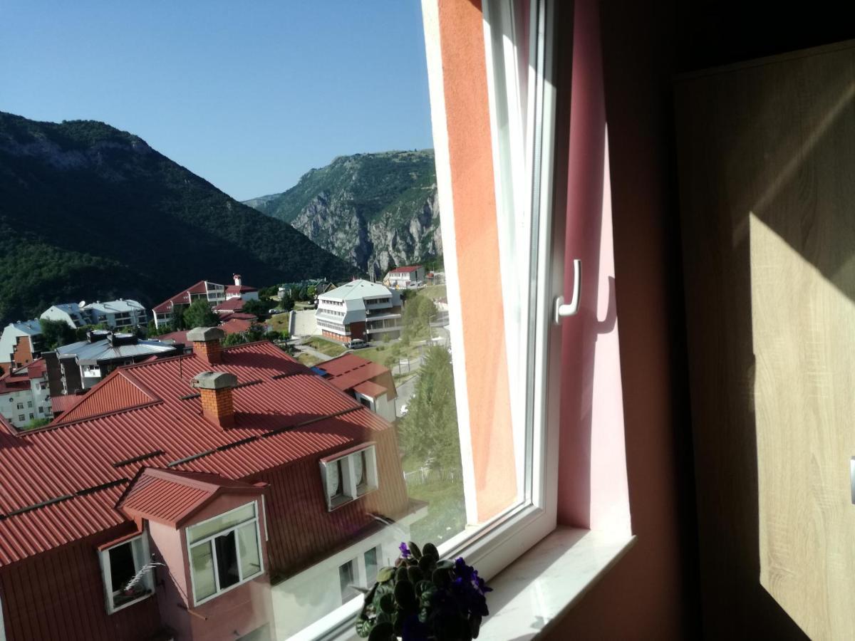Apartman Dunja Plužine Buitenkant foto